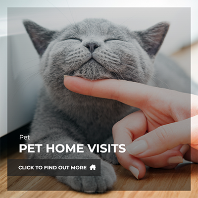 pet home visits